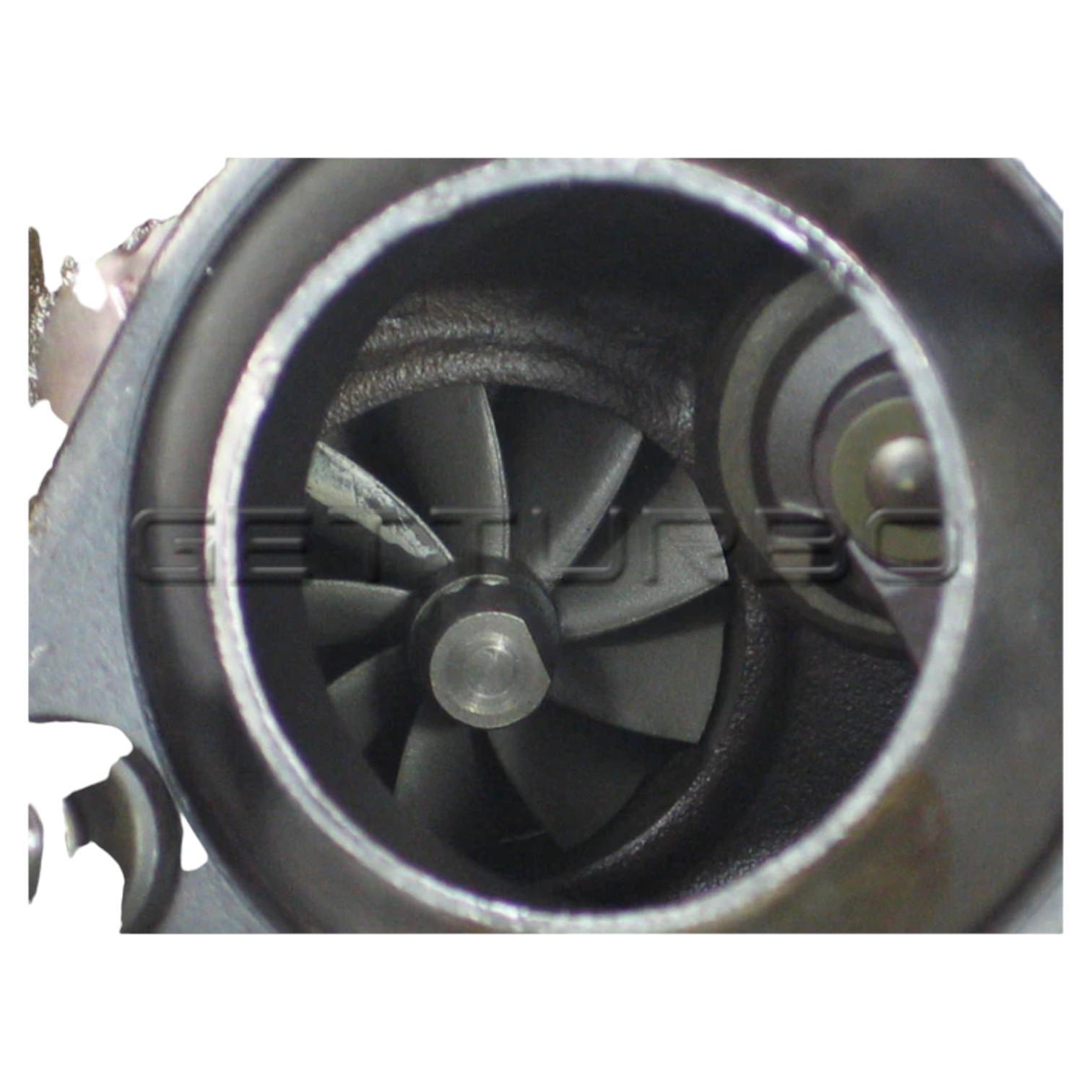 GT-K214.1